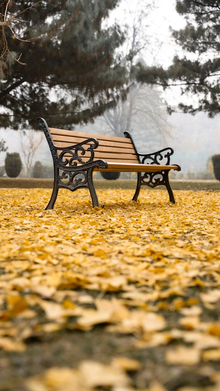 An ornate park bench amidst vibrant fall foliage in Srinagar's serene park setting.